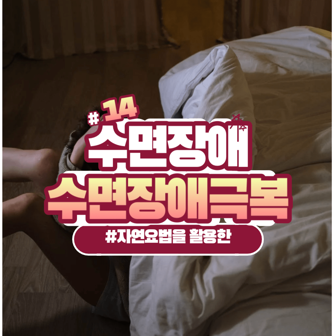 수면장애 극복