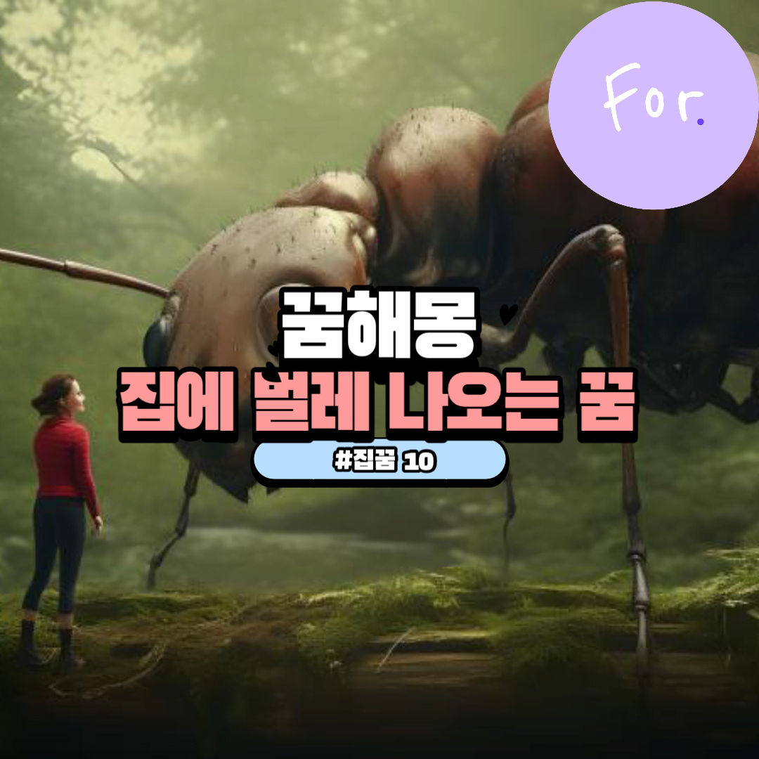 집에 벌레 나오는 꿈