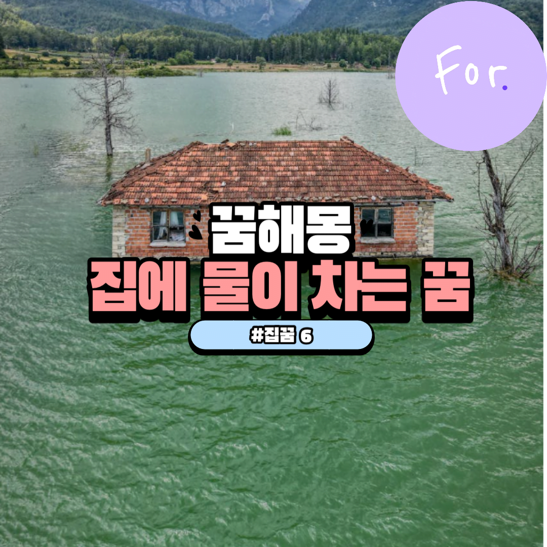 집에 물이 차는 꿈