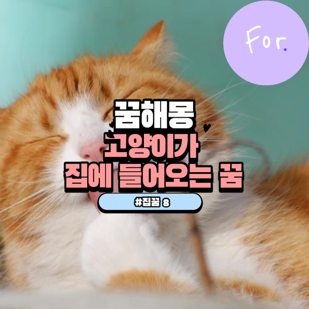 제목을 입력해주세요 001 32